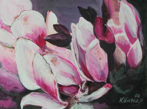 051 Magnolien